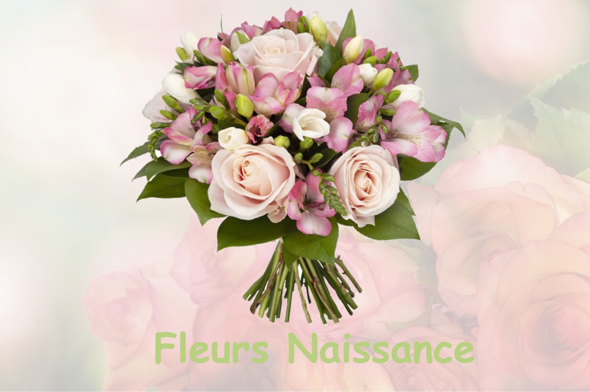 fleurs naissance LE-MALZIEU-FORAIN