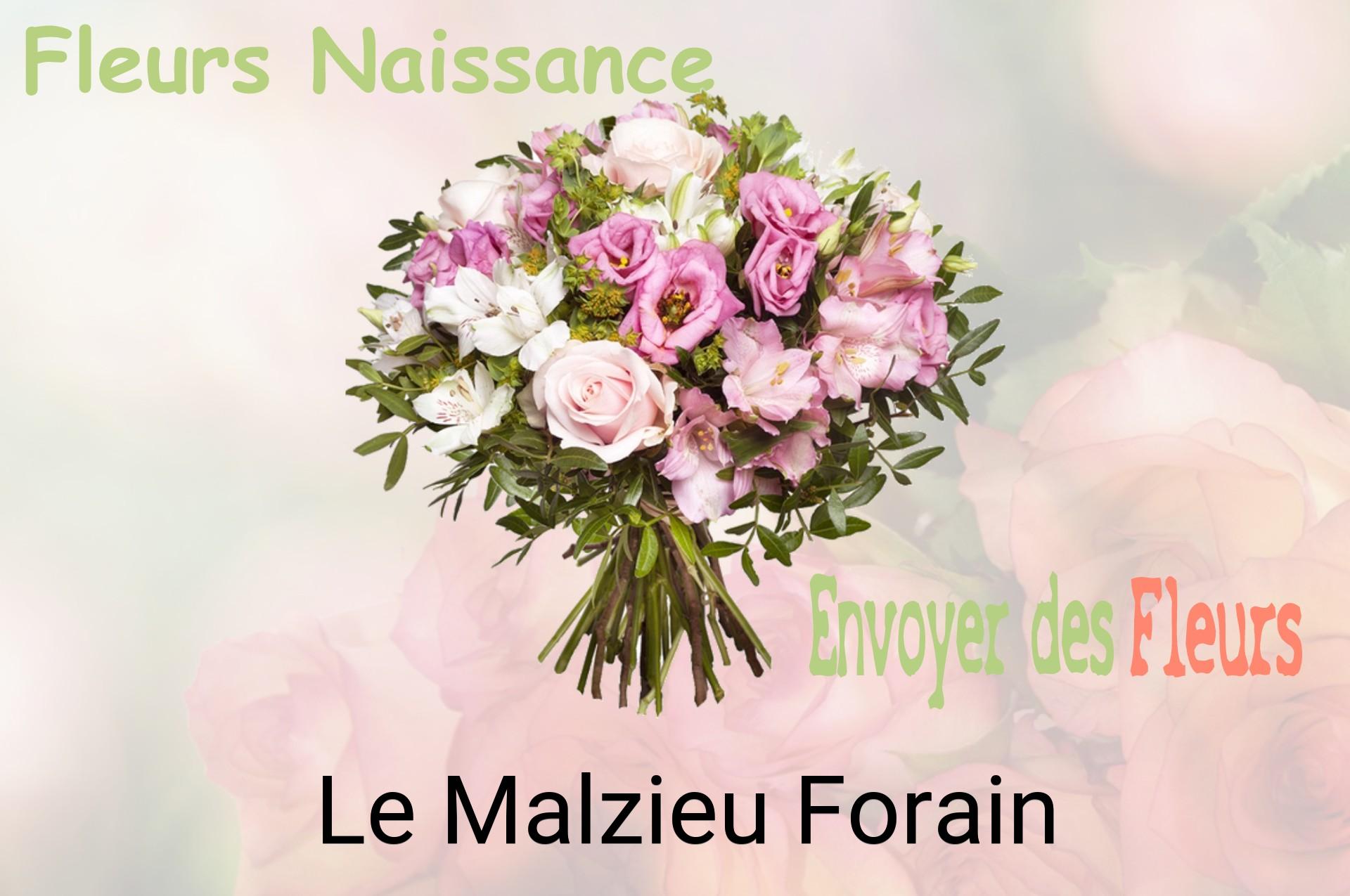 Bouquet de fleurs de naissance livré à Le Malzieu-Forain